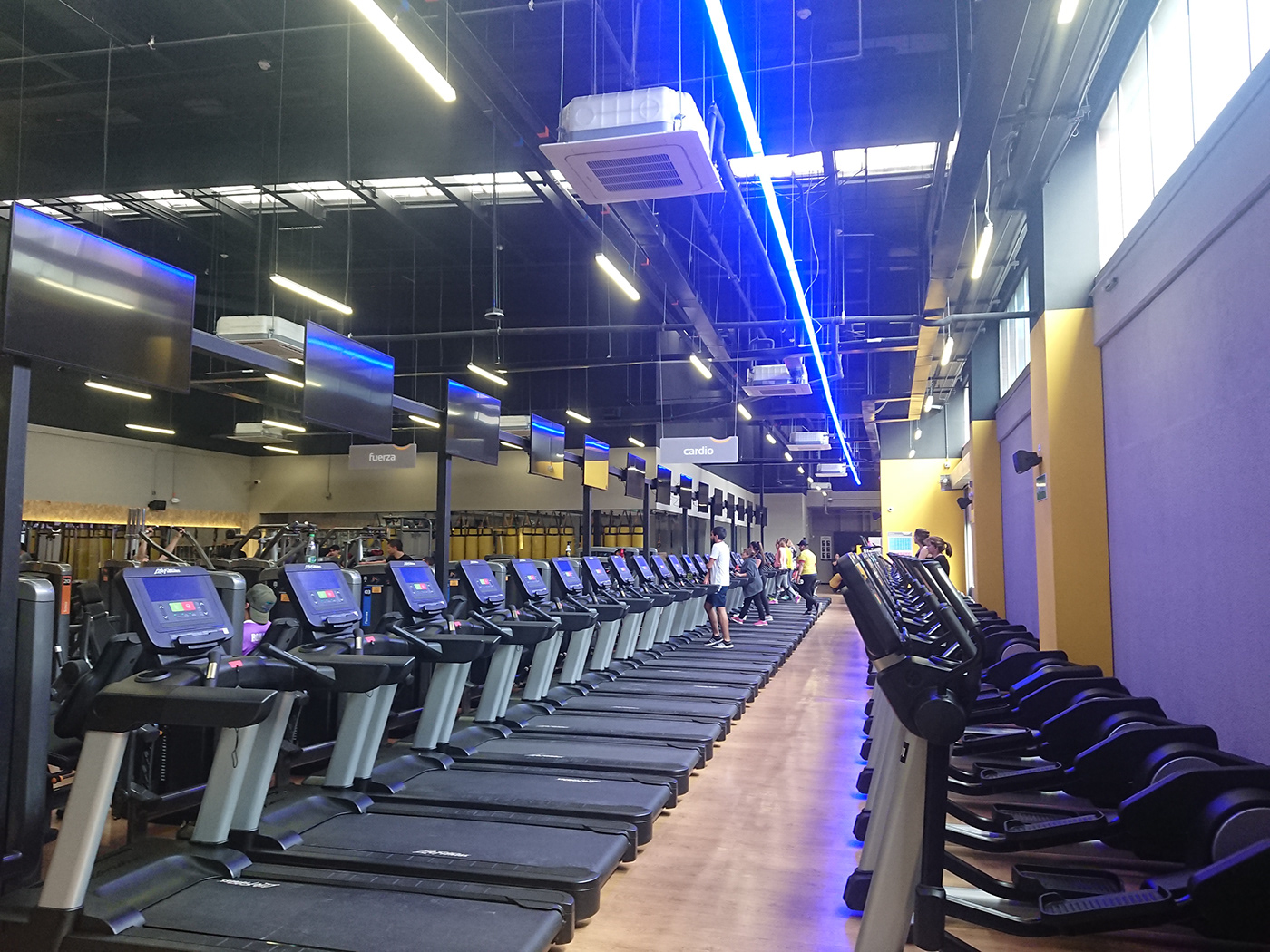 Gimnasios Pereira reabren piloto