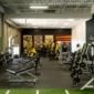 Gold’s Gym lanza una aplicación con inteligencia artificial para sus socios